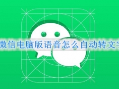 电脑微信语音怎么转文字 微信电脑版语音自动转文字设置方法（很简单）