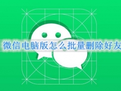 微信电脑版怎么批量删除好友 电脑版微信删除好友后手机微信不同步怎么办