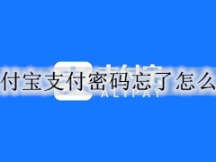 支付宝支付密码怎么改 支付宝忘记支付密码的解决方法