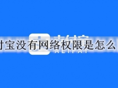 支付宝的网络权限被禁止怎么办 支付宝无网络访问权限的解决方法