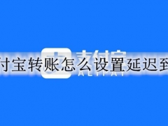 支付宝转账怎么设置延迟到账 支付宝设置转账延迟到账的详细教程