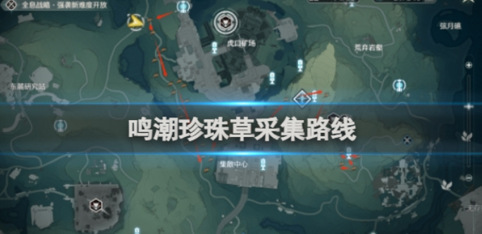 鸣潮珍珠草采集路线 鸣潮珍珠草怎么采集